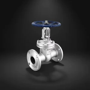 304 316L Stainless Steel Flange Gate Valve Z41W-16P DN15-DN300 Manual Rising Stem Normal Temperature Water System