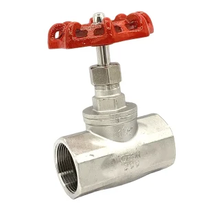 304 CF8M SS316 200WOG Female-Thread Y-Type Globe Valve DN25 1 Inch
