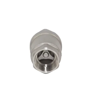 304 SS 2 Piece Vertical Check Valve 1/2″ 3/4″ Spring Loaded Threaded Type Valve NRV Check Valve