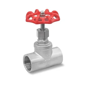 304 SS Globe Valve J11W with BSP Thread Pipeline Throttling and Shut off Valve