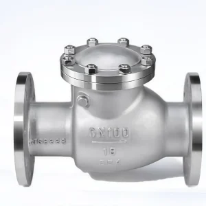 304 Stainless Steel Check Valve H44W Swing Type Flanged PN16 for Horizontal Installation