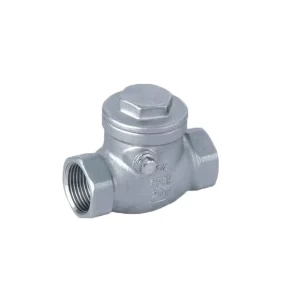 304 Stainless Steel Check Valve Internal Thread Swing Inside Screw Check Valves Water OEM ODM