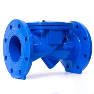 304 Stainless Steel DN50Swing Check Valve High Temperature Resistant Steam Check Valve