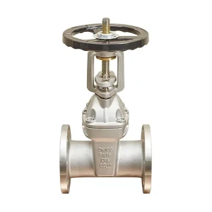 304 Stainless Steel Flanged Wedge Gate Valve Z41X-16P Manual Rising Stem Soft Seal DN100 Water