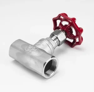 304 Stainless Steel Globe Valve J11W BSP Thread for Pipeline Throttling & Shut Off