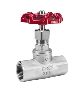 304 Stainless Steel Globe Valve J11W BSP Thread for Pipeline Throttling & Shut Off