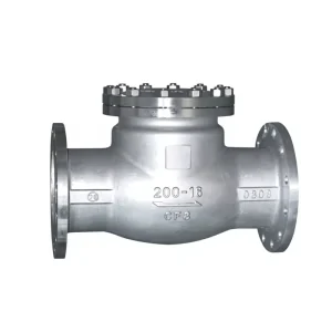 304 Stainless Steel Horizontal Check Valve Internal Thread Swing Corrosion-Resistant Shutoff Water 1 3-Year Warranty OEM/ODM