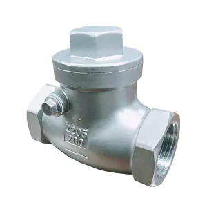 304 Stainless Steel Horizontal Check Valve with Internal Thread Swing Corrosion Resistant Shutoff for Water OEM Customizable