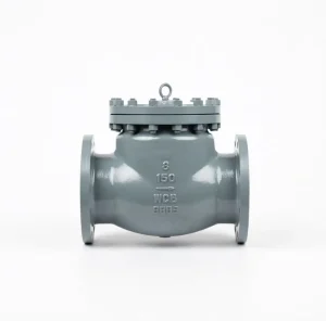 304 Stainless Steel Oil Resistant GB Flanged Manual Non Return Swing Check Valve