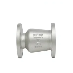 304 Stainless Steel Silent Check Valve HC42X-16P One-Way Fire Pump Non-Return Valve