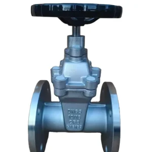 304 Stainless Steel Soft Seal Concealed Stem Manual Gate Valve Flange Design