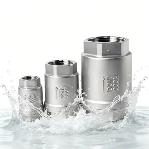 304 Stainless Steel Threaded Vertical Check Valve Lift Disc Internal Thread Anti Backflow Valve for Water Gas Oil