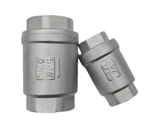 304 Stainless Steel Vertical Check Valve Spring Soft Seal One Way Non Return Valve for Water Pump Pipe