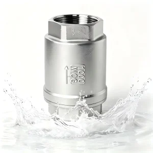304 Stainless Steel Vertical Non Return Valve Internal Thread Lift Check Valve for Water Oil Gas Pipeline
