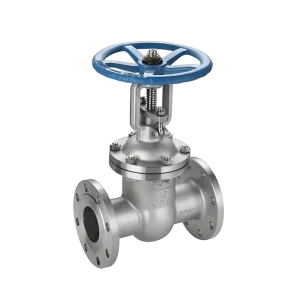 304 Stainless Steel Z41 Flange Gate Valve DN25 DN1000 Manual Operation Used in Chemical Petroleum Natural Gas Oil Pipelines