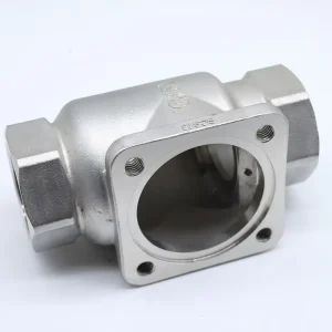 310 Stainless Steel Spring Loaded Check Valve Body Thread with Mounting Base