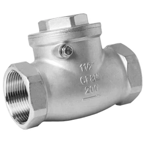 316 Stainless Steel 304 316 201 Vertical Check Valve and Swing Check Valve Npt Bsp Thread Spring Load