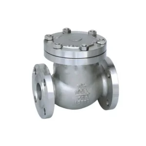 316 Stainless Steel Non Return Valve 1.6Mpa 4-6 Inch 100mm Check Valve