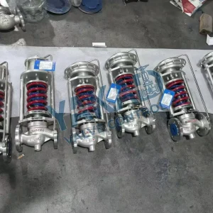 316 Stainless Steel Swing Check Valve Class300 DN125 5″ High Pressure Steam One Way Valve