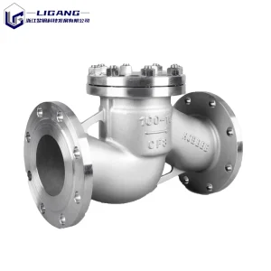 316L Flanged Lift Check Valve Acid Proof Precision Casting Bolt Bonnet One-way Piston Flange Valve Chemical Plant