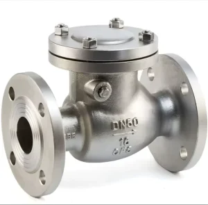 316L Stainless Steel Commercial-Use Check Valve