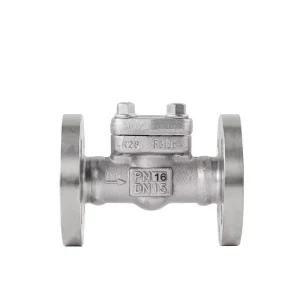 316L Stainless Steel Flange Check Valve H41W Normal Temperature National Standard Swing One-Way Valve for Water