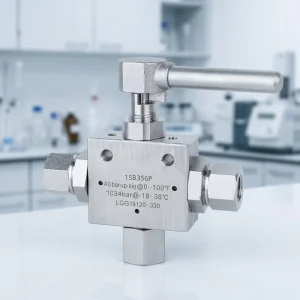 316L Stainless Steel Needle Valve 20000 PSI RPTFE Packing High-Pressure Metal-to-Metal Sealing 1/4-1 Inch