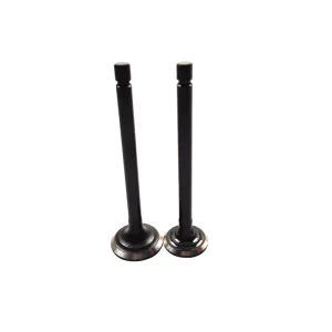 3LA1 Engine Valve Suitable for Isuzu Engine Parts