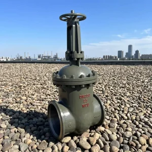 4″ 24″ DN100 DN600 SS Gate Valve 316 304 CF8 CF8M Duplex Inconel625 Class 150 Flanged OS&Y