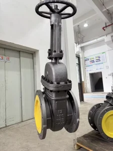 4 Inch Bi Directional One Piece Flanged Stainless Steel Gate Valve for Petrochemical Industry