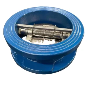 4 Inch Flap Check Valve Ductile Iron Stainless Steel One Way Non Return Valve Dual Plate Wafer Check Valve