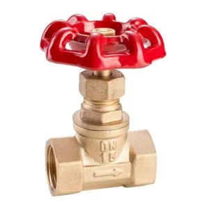 4 Inch Forged Brass Low Temperature Globe Valve