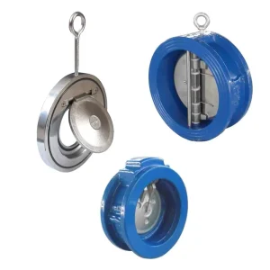 4 Inch PN16 Ductile Iron GGG50 Double Plate Wafer Check Valve Stainless Steel Spring Polished Non Return Valve
