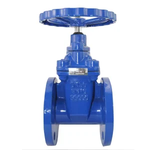 4 Inch PN16 Manual Gate Valve BS5163 Standard Cast Iron Soft Seal Water Flange Sluice Valve