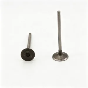 481F 1007011 481F 1007012 Intake Valve Exhaust Valves OEM Custom Fit for CHERY A5 SQR481F 1.6L Car Engine Parts
