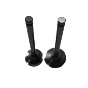 4BC2 Engine Valve 9 12551 801 0 9 12552 240 0 Suitable for Isuzu Engine Repair Parts