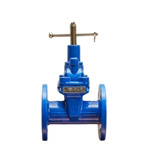 50mm-300mm PN16 Lock Gate Valve Ductile Iron Gate Valves for Gas