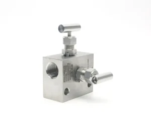 6000PSI High Pressure 2 Valve Needle Manual Manifold 316L for Pressure Transmitter & Instrumentation