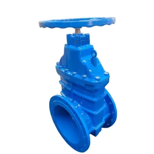 600mm Gate Valve Double Flanged Gate Valve in Germany Dn 150 Pn 10