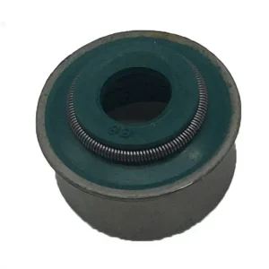 6166533 Valve Oil Seal Valve Stem Seals for Chevrolet FIAT FORD DAEWOO 12002300 6166533