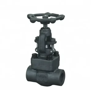 800 Class High-Pressure Forged Steel Globe Valve Water Flange Ends Manual SS304