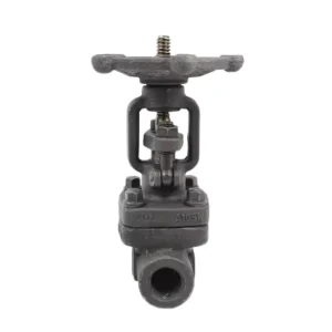 800lbs Butt Weld Solid Wedge Gate Valves A105N Forged Welded Socket Gate Valves