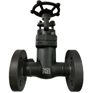A105 Bellows Gate Valve
