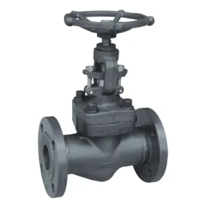 A105 Customized Forged Steel Globe Valve