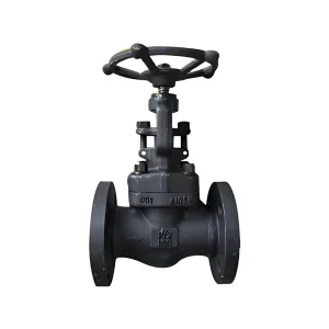 A105 Forged Steel Flange Globe Valve 150LB 300LB High Pressure ANSI