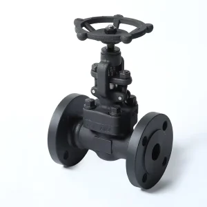 A105 Forged Steel Flanged Globe Valve Steam High temperature Pressure Valve Manual Flanged Globe Valve