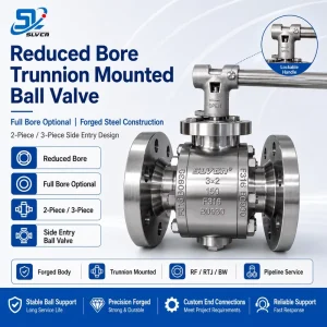 A105N LF2 F316 Duplex Steel Devlon PEEK Seat Forged Reduced Full Bore Trunnion Mounted Ball Valve for Refinery LNG Terminal