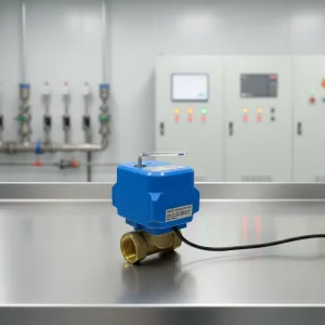 AC220V 3 4 Inch Brass Motorized Ball Valve 3 Wire Dual Control with Position Feedback IP65 Waterproof 1.6Mpa Working Pressure