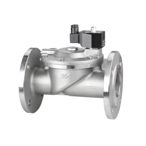 AC220V Stainless Steel Flange Normally Closed Solenoid Valve 304 Material Water gas Direct acting Type