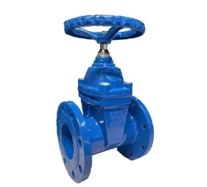 ACS Certificate Ductile Iron Double Flanged Gate Valve
